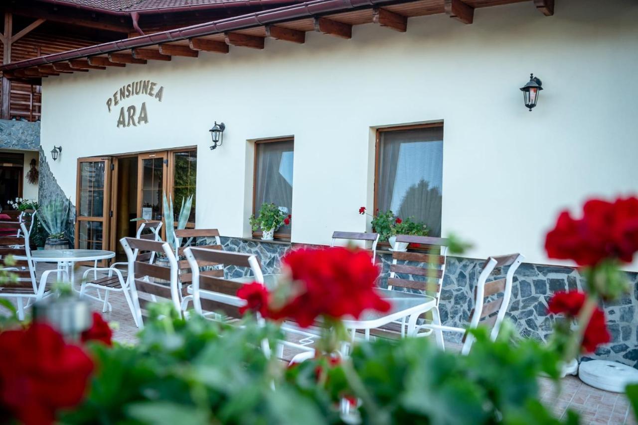 Pensiunea Ara Alba Iulia Exterior foto
